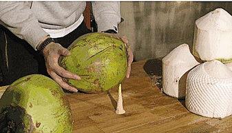 用口香糖开椰子视频,口香糖巧用大揭秘