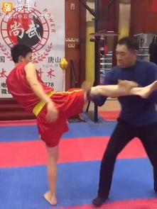 太极实战格斗视频