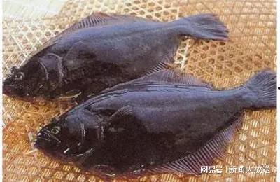 比目鱼处理方法视频