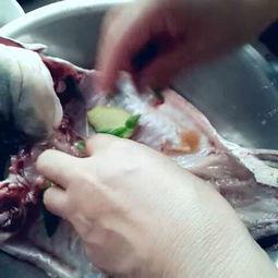 鱼跳水视频,揭秘鱼儿跳水瞬间