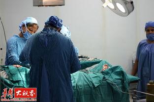 地下器官交易视频