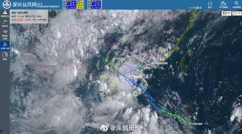 广州台风视频,城市紧急应对纪实