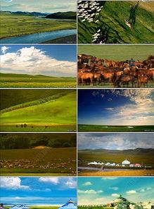 清清草原视频在线视频播放,在线视频带你领略大美草原风光