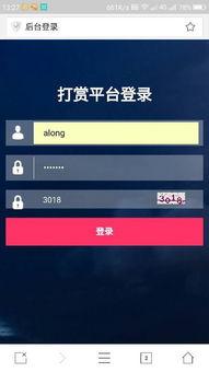 怎样生成打赏视频,创意与技巧全解析