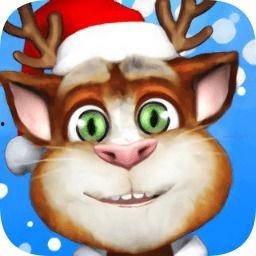 学舌猫视频,萌宠模仿秀，趣味横生逗乐无限