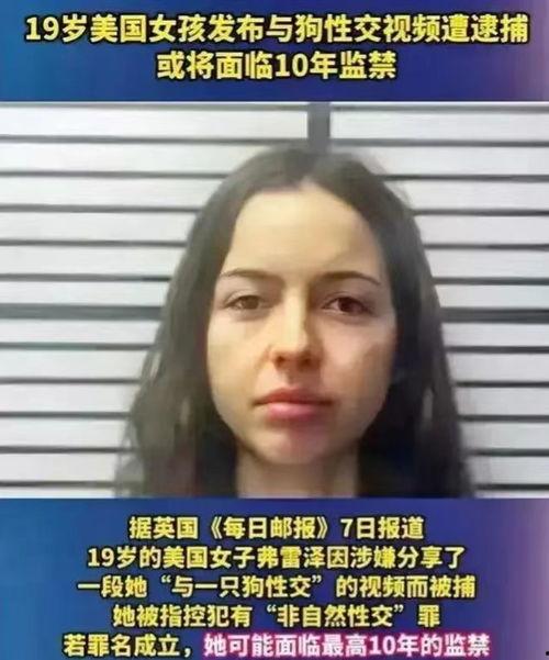 性发视频,揭秘人类欲望的视觉表达