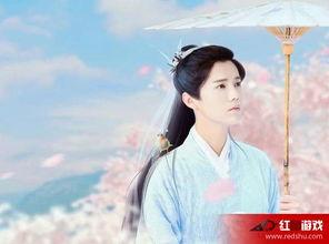 陈长生视频,揭秘青春梦想与奋斗之路