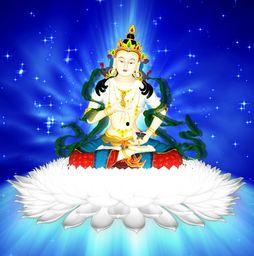 金刚萨埵观想视频,深入禅修之旅