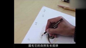 水雾眉操作视频