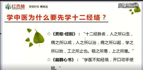 中医基础视频,探寻传统医学智慧与人体健康奥秘