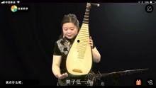 琵琶自学视频,轻松入门，掌握古典韵味