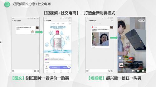 图文视频,探寻视觉艺术的多维度魅力