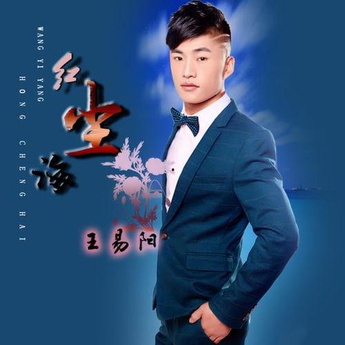 王易阳视频,揭秘成功背后的故事与智慧