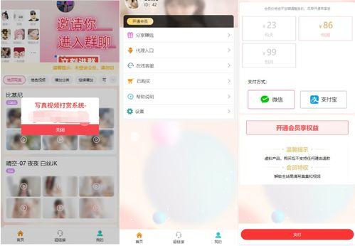 打赏视频源码,深度解析其核心技术与实现原理