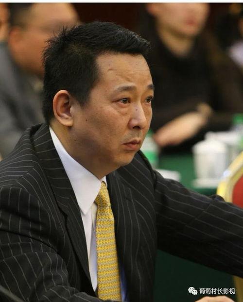 黑老大刘汉视频,权钱交易背后的黑暗势力